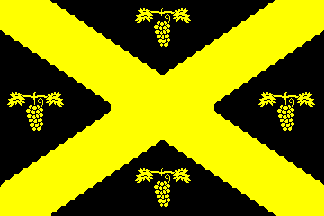 [Flag of Wijnegem]