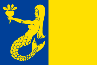 [Flag of Waasmunster]