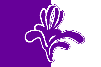 [Flag of RSCA]