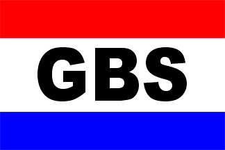 [House flag of GBS]