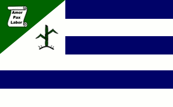 [Flag of Coelho Neto, MA (Brazil)]