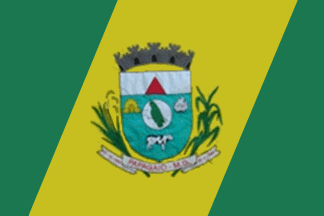 [Flag of Papagaios, Minas Gerais