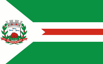 [Flag of Tangará da Serra, MT (Brazil)]