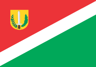 [Flag of Chopinzinho, PR (Brazil)]