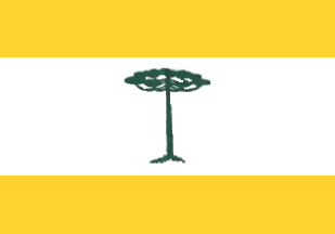 [Flag of Roncador (Paraná), PR (Brazil)]