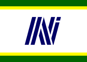 House Flag of Norsul Internacional (Brazil)