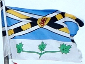 Bordon-Carleton flag