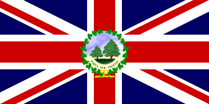 [1875-1905 Lt. Governor flag]