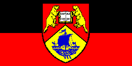 [University of New Brunswick flag]
