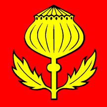 [Flag of Mägenwil]