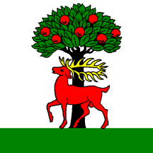 [Flag of Walzenhausen]