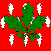 [Flag of Chêne-Bourg]
