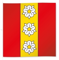 [Flag of Buchegg]