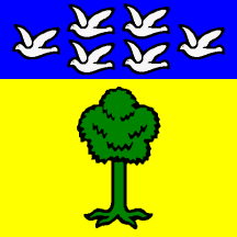 [Flag of Küttigkofen]