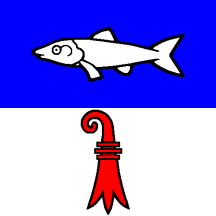 [Flag of Bärschwil]