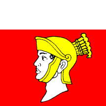 [Flag of Poliez-Pittet]