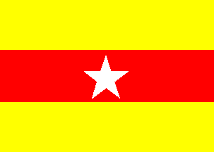 [CCNI house flag]