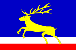 [Flag of Javorník]