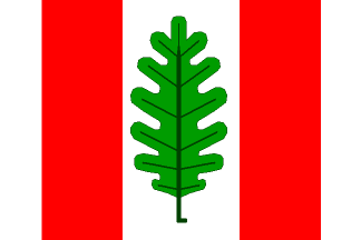 [Mladeč municipality flag]