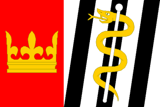 [Paseka municipality flag]