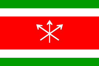 [Vesín municipality flag]