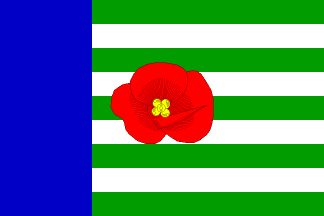 [Veselí municipality flag]