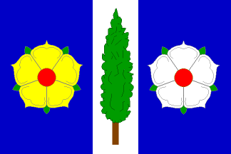 [Topolná municipality flag]