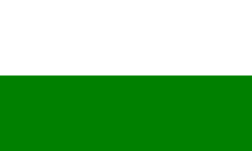 [Furth in Wood city (Furth im Wald) flag plain ]