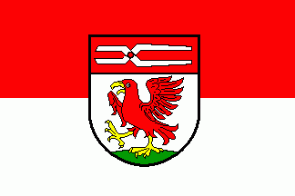 [Bongard municipal flag]