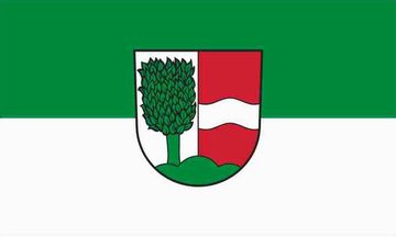 [Buchenbach municipal flag]