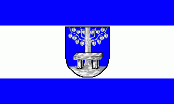 [Adenstedt village flag]