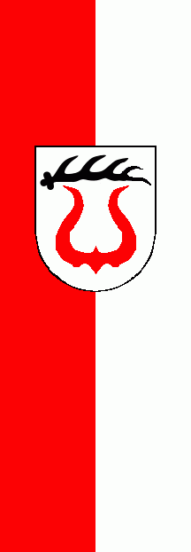 [Sachsenheim city banner]