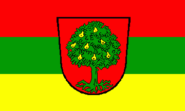 [Pyrbaum town flag in use]