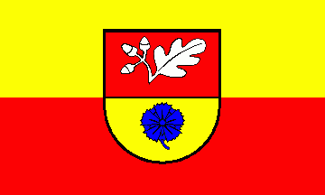 [Toddin municipal flag]