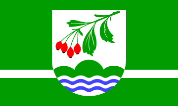 [Stipsdorf municipal flag]