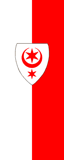 [Halle (Saale) flag]