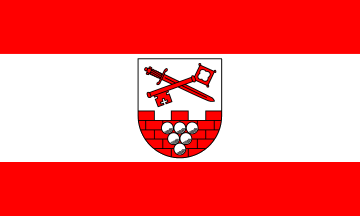 [Burgenland County flag]