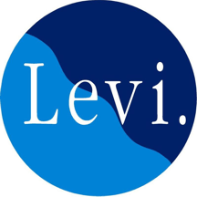 Flag of Levi ski resort