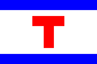 [House flag of Taurin]