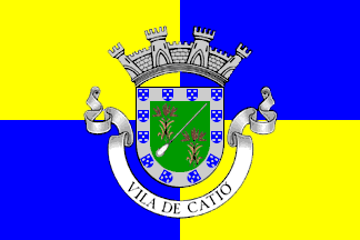 Catió former flag