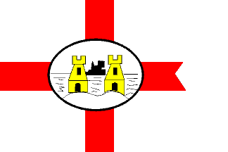 [City of Cork S.P. Co. Ltd. houseflag]