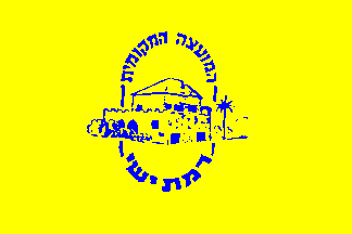 [Local Council of Ramat Yishai, yellow field (Israel)]