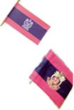 [Possible flag of Lakshadweep]