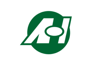 [flag of Aizumisato]