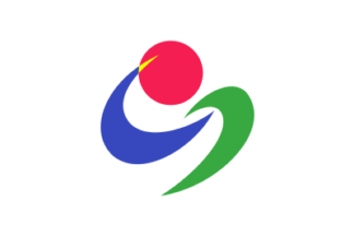 [flag of Miyakonojo]