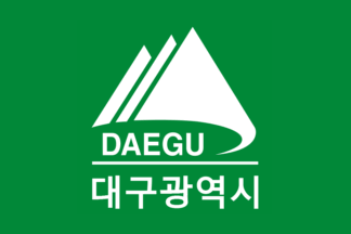 [Daegu flag]
