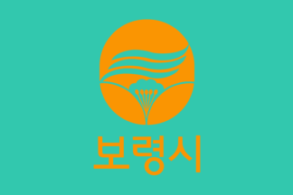 [Old Indoor Boryeong flag]