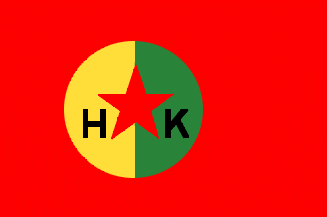 [Kurdish unidentified flag2]