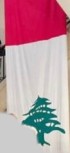 [Vertical Flag (Lebanon)]