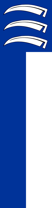 Vertical flag of Triesen